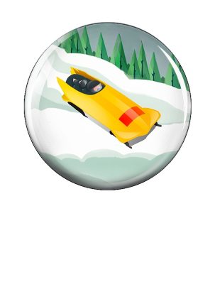 Вкладыш заливной D Z285 Бобслей