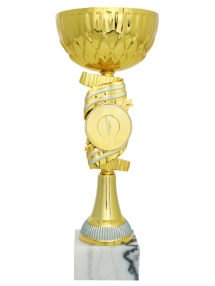 Кубок BC-2040