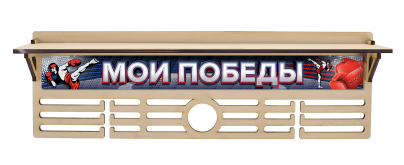 Медальница Кикбоксинг