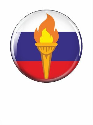 Вкладыш заливной D Z46 Факел