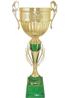 Кубок 3136