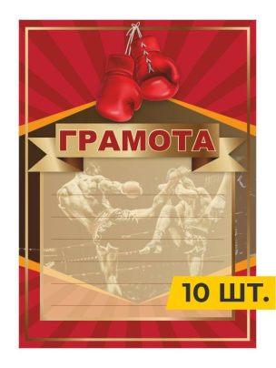 Грамота №91 Кикбоксинг