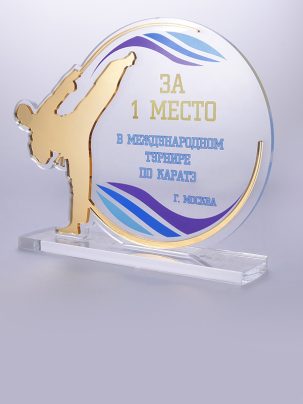 Приз из акрила карате 105