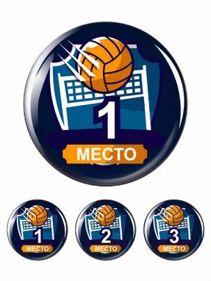 Вкладыш заливной D1 Z77,78,79 место Волейбол