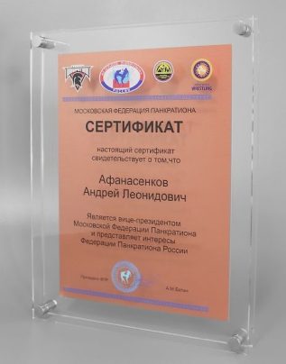 Приз из акрила 49-300 в 3D  с цветным нанесением