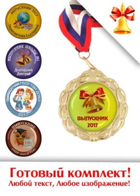 Выпускная медаль с заливным вкладышем MD 333 G