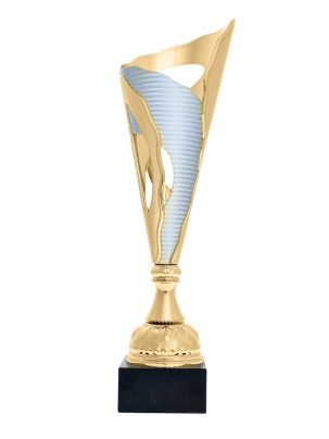 Кубок BC-2018