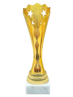 Кубок 03-17
