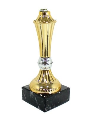 Приз S2010