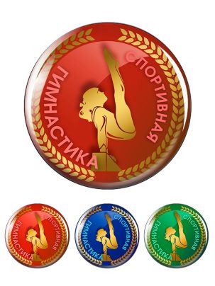 Вкладыш заливной D1 Z479,480,481 Спортивная гимнастика