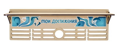 Медальница Парашютизм