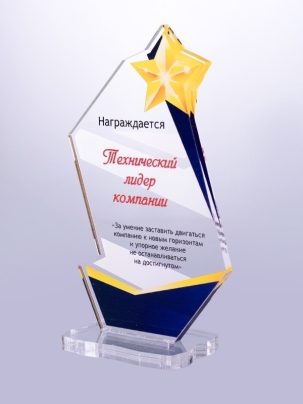 Приз из акрила 10 R