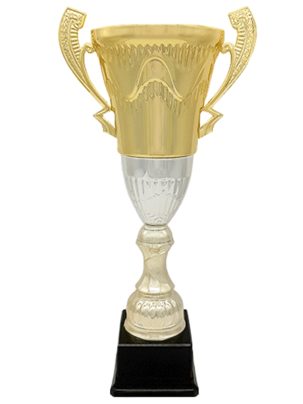 Кубок 02-30