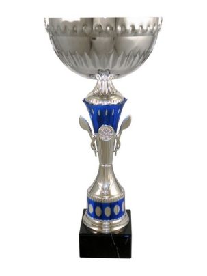 Кубок 4095