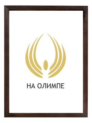 Рамка A4 бронзовая пластик
