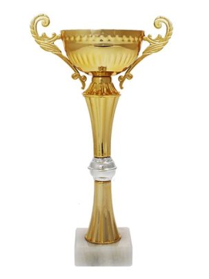 Кубок 8089