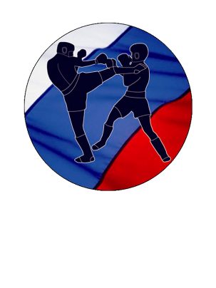 Вкладыш самоклеющийся D S317 Кикбоксинг
