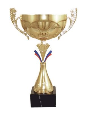 Кубок 8086