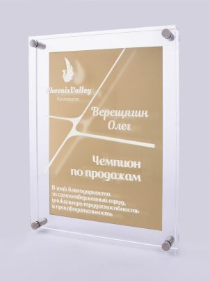 Приз из акрила 41-300 в 3D  с гравировкой