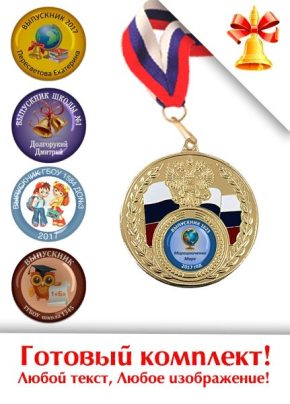 Выпускная медаль с заливным вкладышем LD121 G