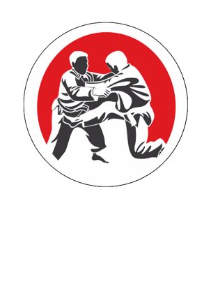 Вкладыш самоклеющийся D S297 Дзюдо