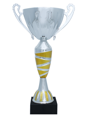 Кубок BC-1721