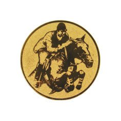 Вкладыш Конный спорт A74