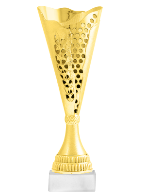 Кубок BC-1009