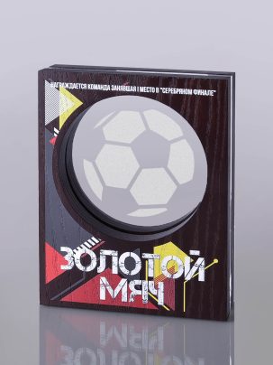 Трофей "Левитан" 100-2