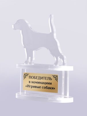 Приз из акрила 65 с табличкой