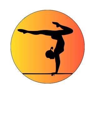 Вкладыш самоклеющийся D S345 Спортивная гимнастика