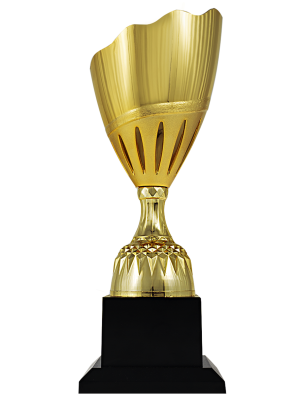 Кубок BC-1015