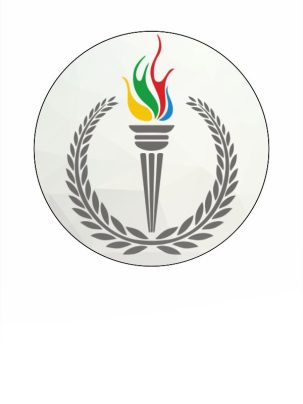 Вкладыш самоклеющийся D S47 Факел